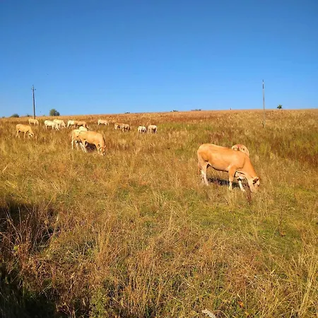 別荘 La Grange Du Poussie