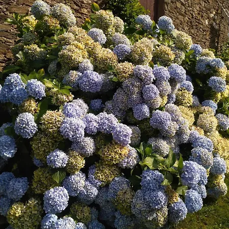 La Grange Du Poussie La Salvetat-Peyrales