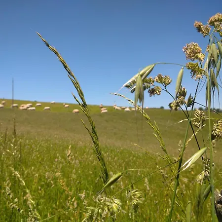 別荘 La Grange Du Poussie