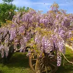 بيت للعطل La Grange Du Poussie *