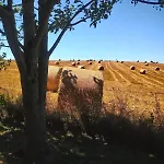 La Grange Du Poussie *