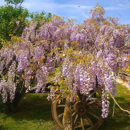 Hébergement de vacances La Grange Du Poussié *