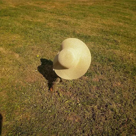 Tatil Evi La Grange Du Poussie La Salvetat-Peyrales