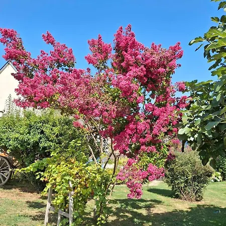 Сasa de vacaciones La Grange Du Poussié La Salvetat-Peyrales