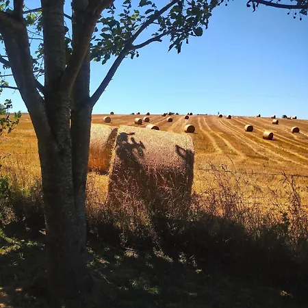 La Grange Du Poussie *
